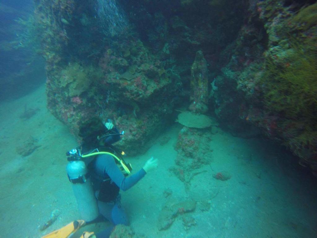 Anilao Scuba Dive Center Hotel Batangas Eksteriør billede